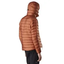 Arc'teryx Cerium LT Hoody - Men's -Women's Jackets Sales Store 18013 cerium lt hoody m komorebi back view f21 rsz 05492.1648758616